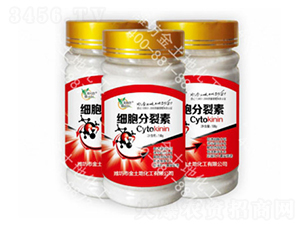 ����������-������ 