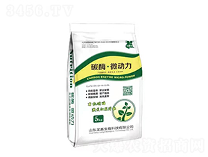 碳酶·微動(dòng)力-龍基