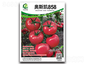 奧斯凱858-番茄種子-中農(nóng)潤(rùn)田