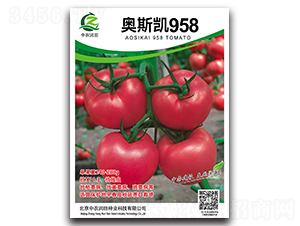 奧斯凱958-番茄種子-中農(nóng)潤田
