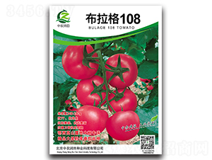 布拉格108-番茄種子-中農(nóng)潤田