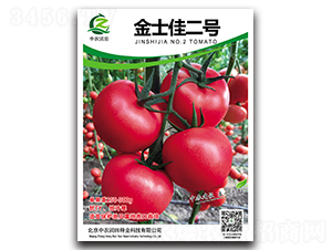 金士佳二號(hào)-番茄種子-中農(nóng)潤(rùn)田