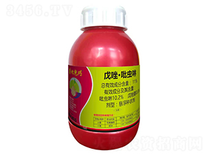 11%�������x���Ҹ��N��-�滯����-�滯���h(yu��n)