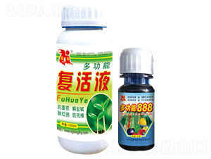 多功能復活液+多功能888-龍基