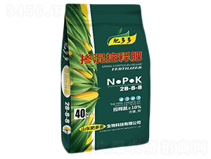 �����ጷ�-�ʶ��