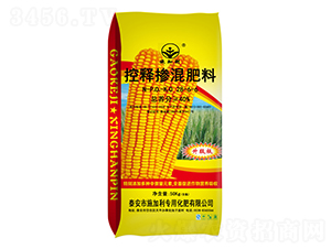 ��ጓ������28-6-6-ʩ����