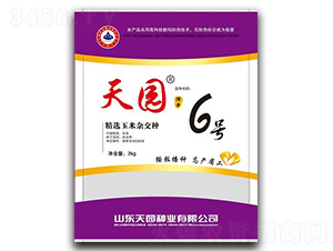 天園6號(hào)-玉米種子-天園種業(yè)