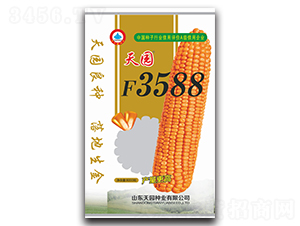 天園F3588-玉米種子-天園種業(yè)
