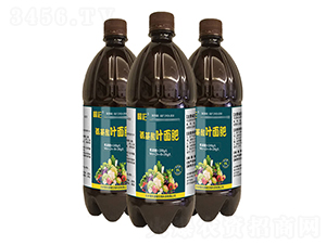 �������~���-�i������ 