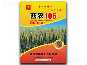 西農(nóng)106-小麥種子
