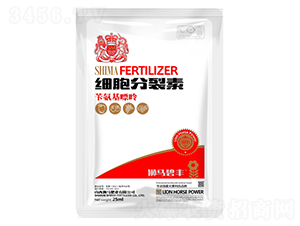 ����������-�{�R�ʘI(y��) 