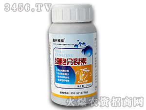 ֲ���{��(ji��)��-����������-������˹ 