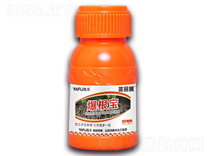 爆根寶-苗麗圃-雅夫