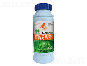 ����������-��ţ-ʷ���� 