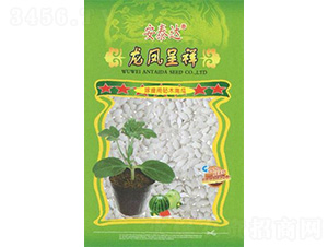 ���P����-�����ľ-��̩�_