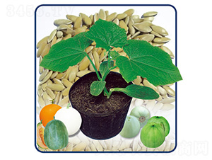 ��������һ̖-�����ľ-��̩�_