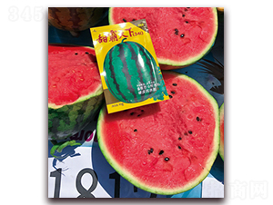 甜霸天下-西瓜種子-百聚豐