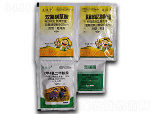 �p���ǲݰ�+�ȷ��������ᮐ����+2��4�ȶ��װ��}+����¡-�S�՘�(l��)