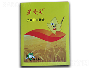 С��������ײ�-����Ц-�S�՘�(l��)