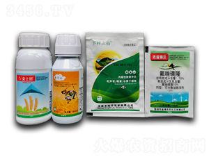 ����¡+��������+�����¡+�r(n��ng)������-�S�՘�(l��)