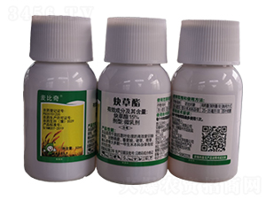 15%Ȳ����΢�鄩-������-�S�՘�(l��)