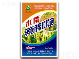 水稻孕穗灌漿粒粒飽-地標(biāo)生物