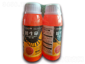 ���Ͷ๦�����＼�g(sh��)�N��-�~����-���f�_(d��)���r(sh��)��