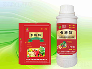 �V�V���~������b-��ʩ�� 