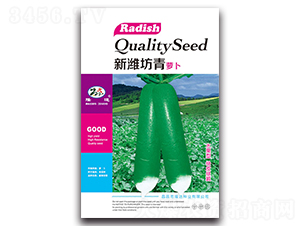 新濰坊青蘿卜-蘿卜種子-隆達(dá)