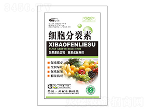 ����������-������ 