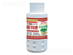 花生專(zhuān)用植物康-頂天立地-恒綠植物