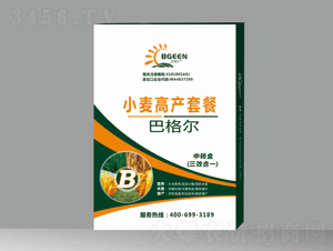 С���߮a�ײ�B-�͸� 