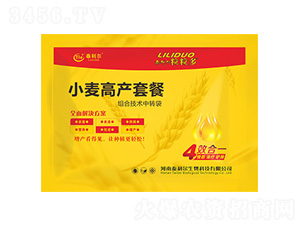 С���߮a�ײͣ���Ч��һ��-�����S-̩���� 