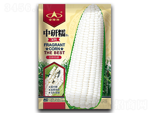 ����Ŵ308-Ŵ���׷N��-��¡��