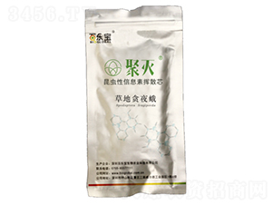 �ݵ�؝ҹ�����Tо-�ۜ�-�٘���