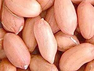 ����1̖(h��o)-�����N��-���S�r(n��ng)�I(y��)