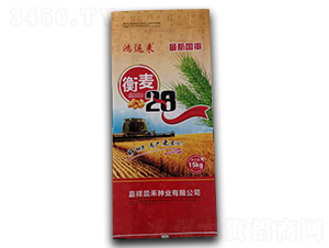 衡麥28-小麥種子-晨禾種業(yè)