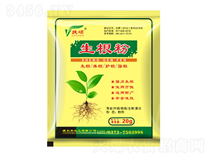 ������-�ݠ��S����