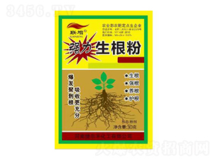 ����������-�ݠ��S����