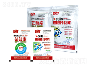 �|̦��+����������-�������r(n��ng) 