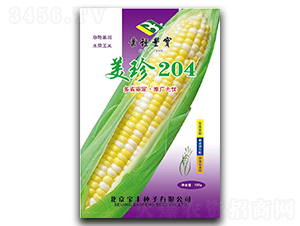 ����204-Ŵ���׷N��-���S