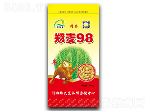 ����98��С���N�ӣ�-����-���ڷN�I(y��)