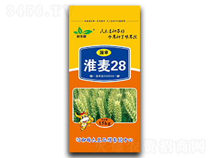 ��������28��С���N�ӣ�-����-���ڷN�I(y��)