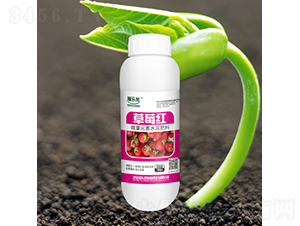 ΢��Ԫ��ˮ�ܷ���-��ݮ�t-����(l��)��