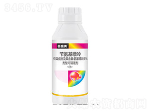 5%�S��������-�|ʢ��-��ِ��