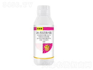 24-���|̦�؃���-�|����-��ِ��