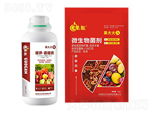 糖鉀·寡糖素+微生物菌劑-果大大A+B-美爾本生物