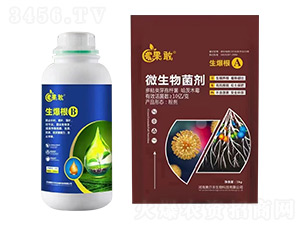 生爆根A+B-果敢-美爾本生物