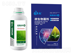 病毒絕殺A+B-果敢-美爾本生物