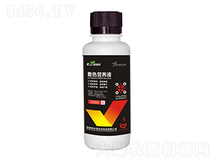 ��ɫ�I�B(y��ng)Һ-���׿��r�I(y��)